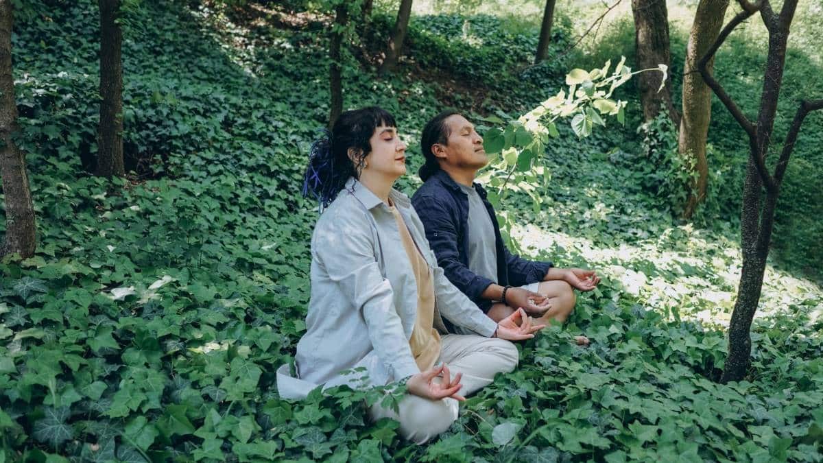 meditasyon müziği